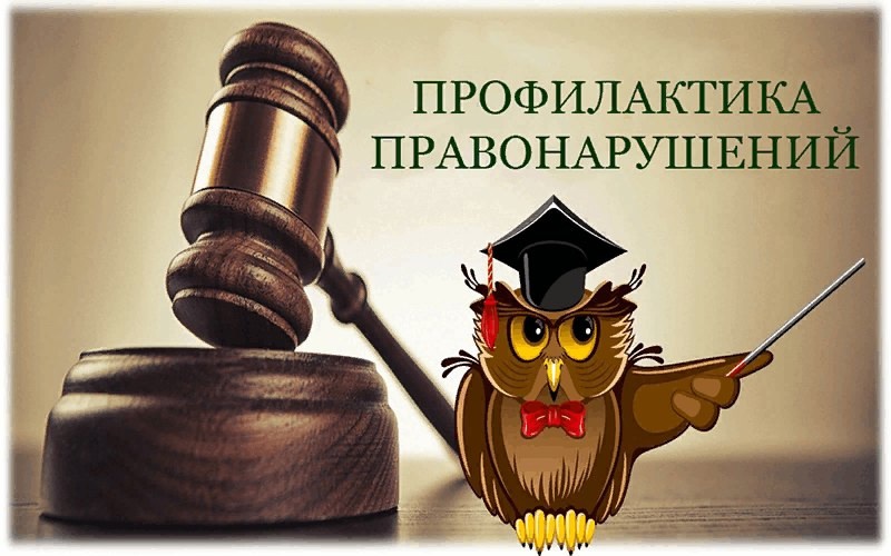 Профилактика правонарушений Профилактика правонарушений.